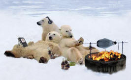 What Causes Global Warming?